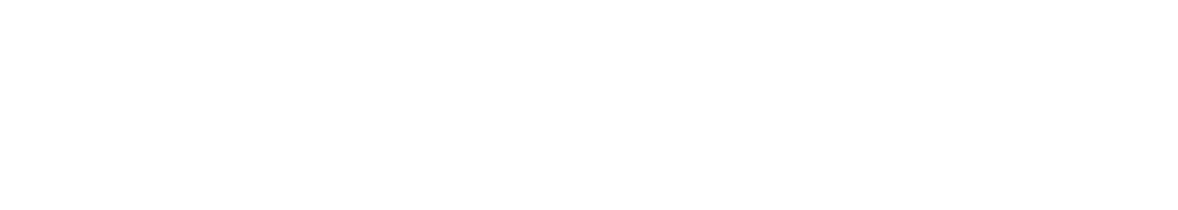PepsiCo F1 Portal